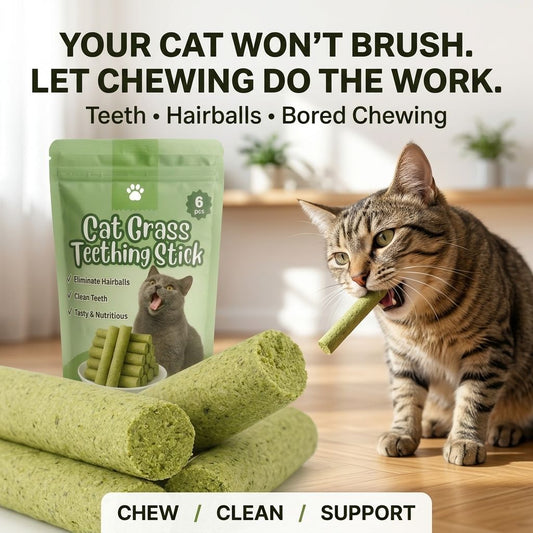 Stop Fighting The Toothbrush. Give Your Cat Something Better To Chew-QDL
