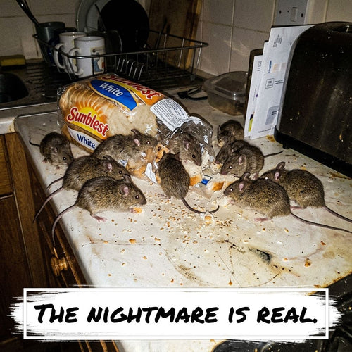 Instant Pest Removal. No Traps, No Mess.-QDL