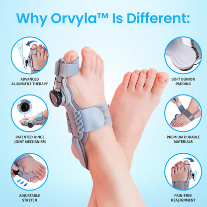 Bunion Corrector - Adjustable ToeAlignment Support for Daily Comfort-AFF
