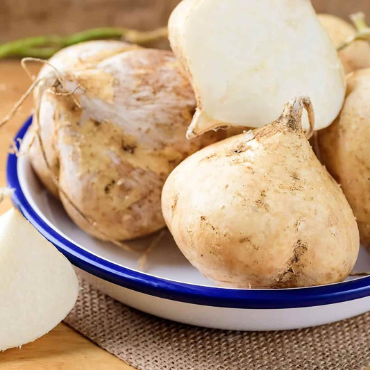 Buy1Get2 Hot Deal | Home Grow Sweet Crispy Jicama Seeds -AFF