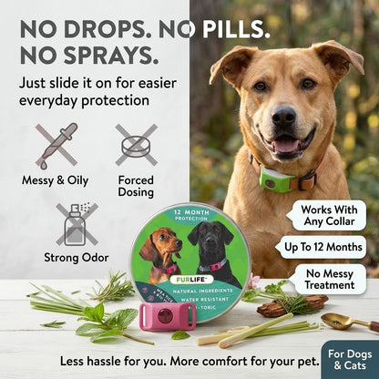 Fleas & Ticks Don’t Wait — Clip On Daily Defense Before The Next Walk-QDL