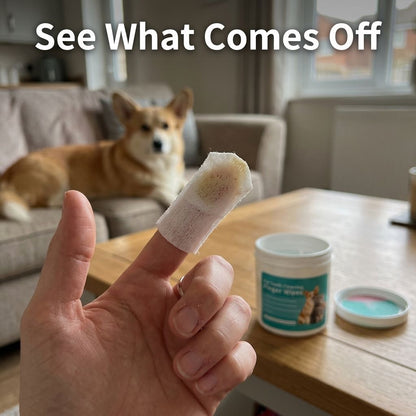 Freshen Your Dog’s Breath — Without the Toothbrush Battle-QDL