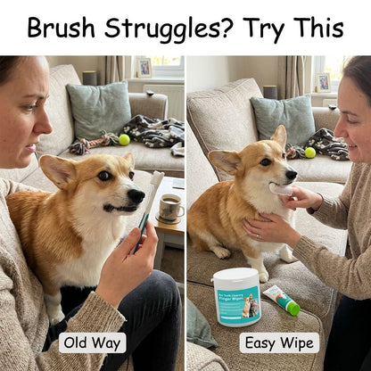Freshen Your Dog’s Breath — Without the Toothbrush Battle-QDL