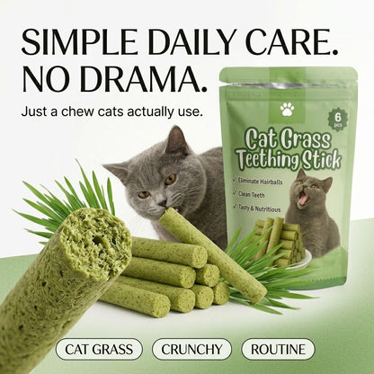Stop Fighting The Toothbrush. Give Your Cat Something Better To Chew-QDL